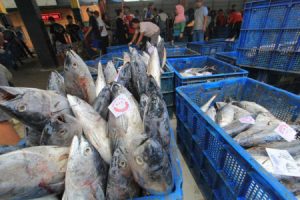 Industri Ikan Kaleng Kerek Peningkatan Devisa